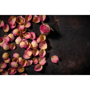 Fresh Rose Petals 